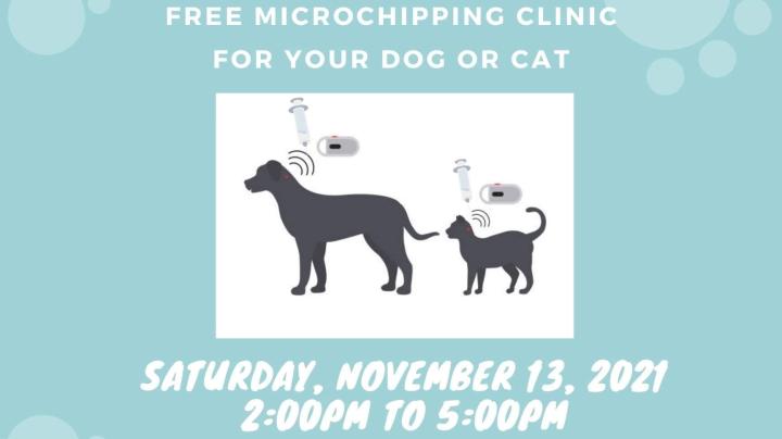 Microchip Clinic
