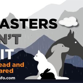 Disasters Don't Wait
