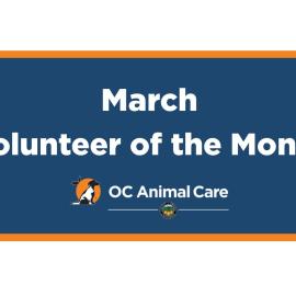 Volunteer of the Month