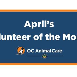 Volunteer of the Month