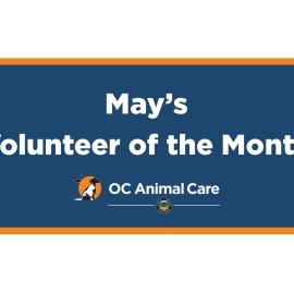 Volunteer of the Month