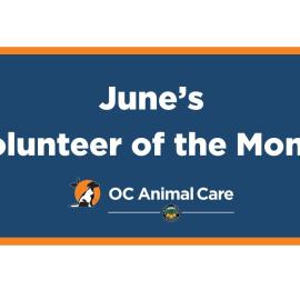 Volunteer of the Month: June