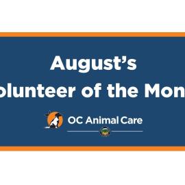 Volunteer of the Month