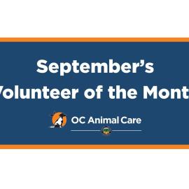 Volunteer of the Month