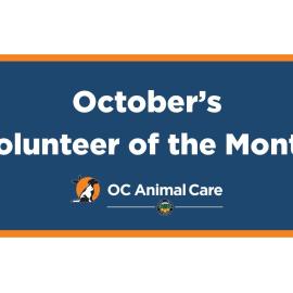 Volunteer of the Month