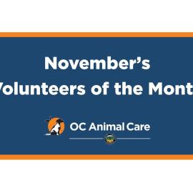 Volunteer of the Month