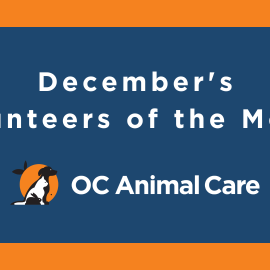 December Volunteers of the Month Banner