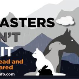 Disasters Don't Wait