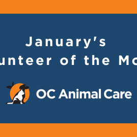 January 2023 Volunteer of the Month
