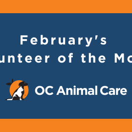 February 2023 Volunteer of the Month