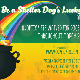 March 2023 Adoption Promotion