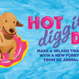 June 2023 Adoption Promotion