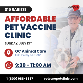 Vet Care Clinic 7.13.25