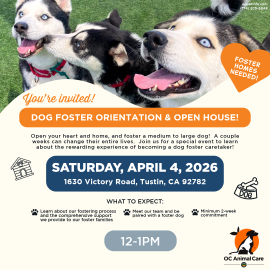 Dog Foster Open House and Orientation Saturday at OC Animal Care