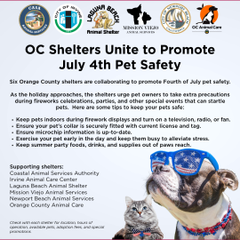 Joint OC Shelters July 4th Safety Graphic 2026