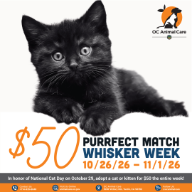 $50 Whisker Week 2026 Square