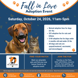 Fall in Love Adoption Event 2026 Square flyer