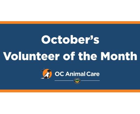 Volunteer of the Month