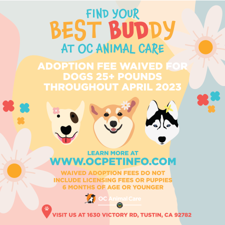 April 2023 Adoption Promotion