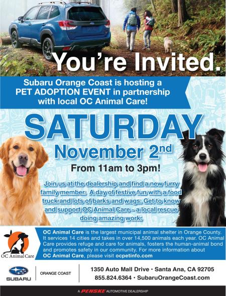 Subaru Orange Coast Pet Adoption Event_11.2.24