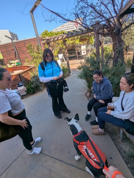 Volunteer with a shelter dog during OCAC Dog's Day Out.