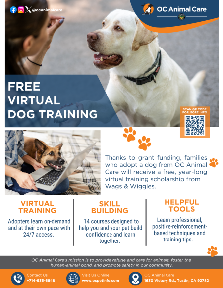 Flyer of Free Virtual Dog Training, Wags and Wiggles