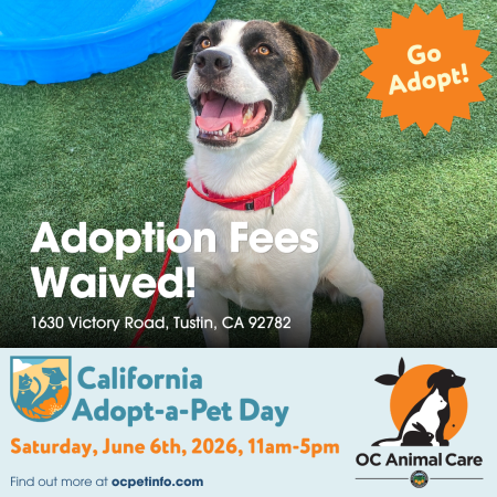 Flyer for CA Adopt-a-Pet Day on June 6, 2026
