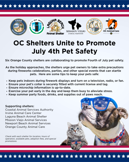 Joint OC Shelters July 4th Safety Graphic 2026