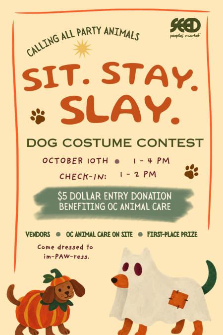 Sit Stay Slay Dog Costume Contest_10.10.26