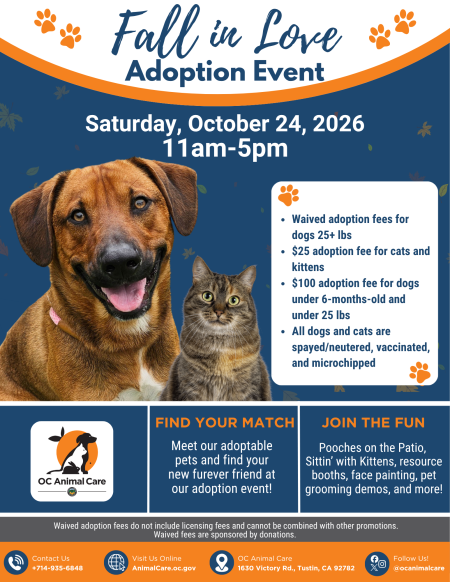 Fall in Love Adoption Event flyer with event details