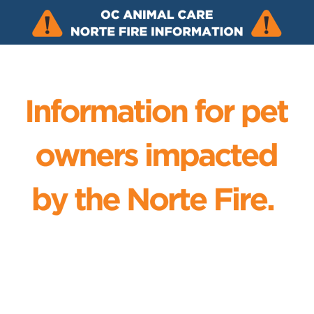 Norte Fire info